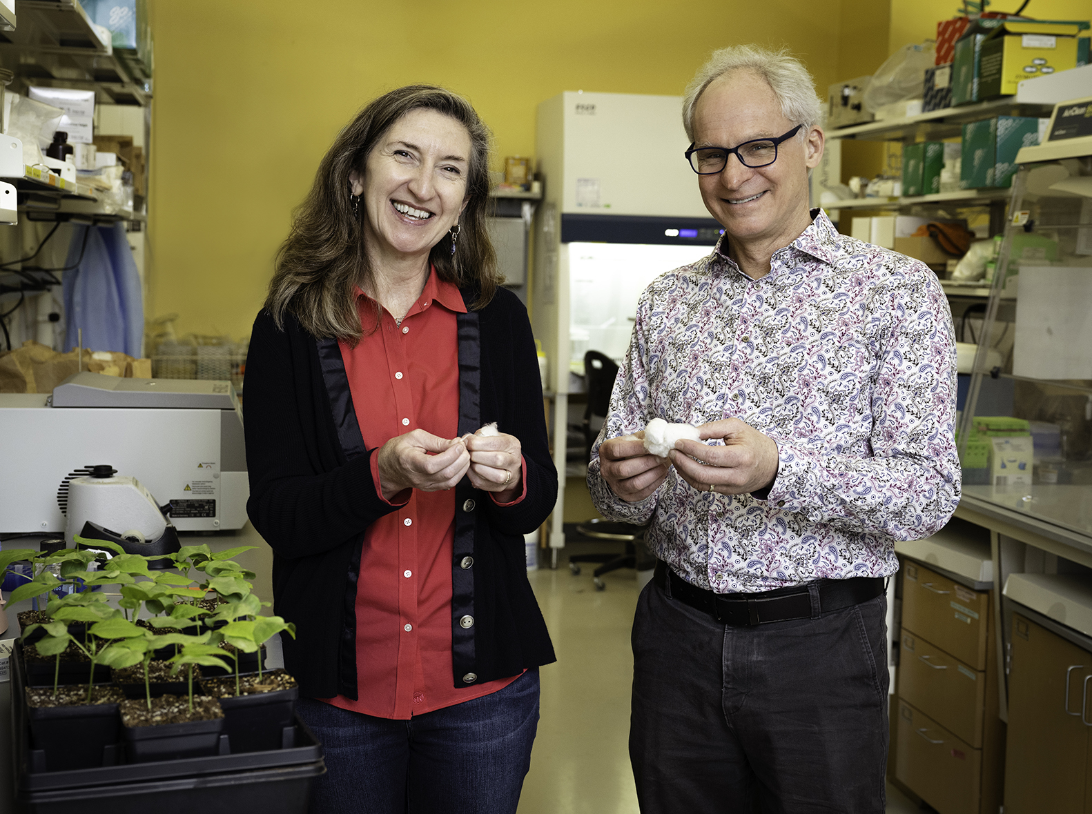 Photo of Brian G. Ayre and Roisin C. McGarry who are collaborating on a cotton research project.