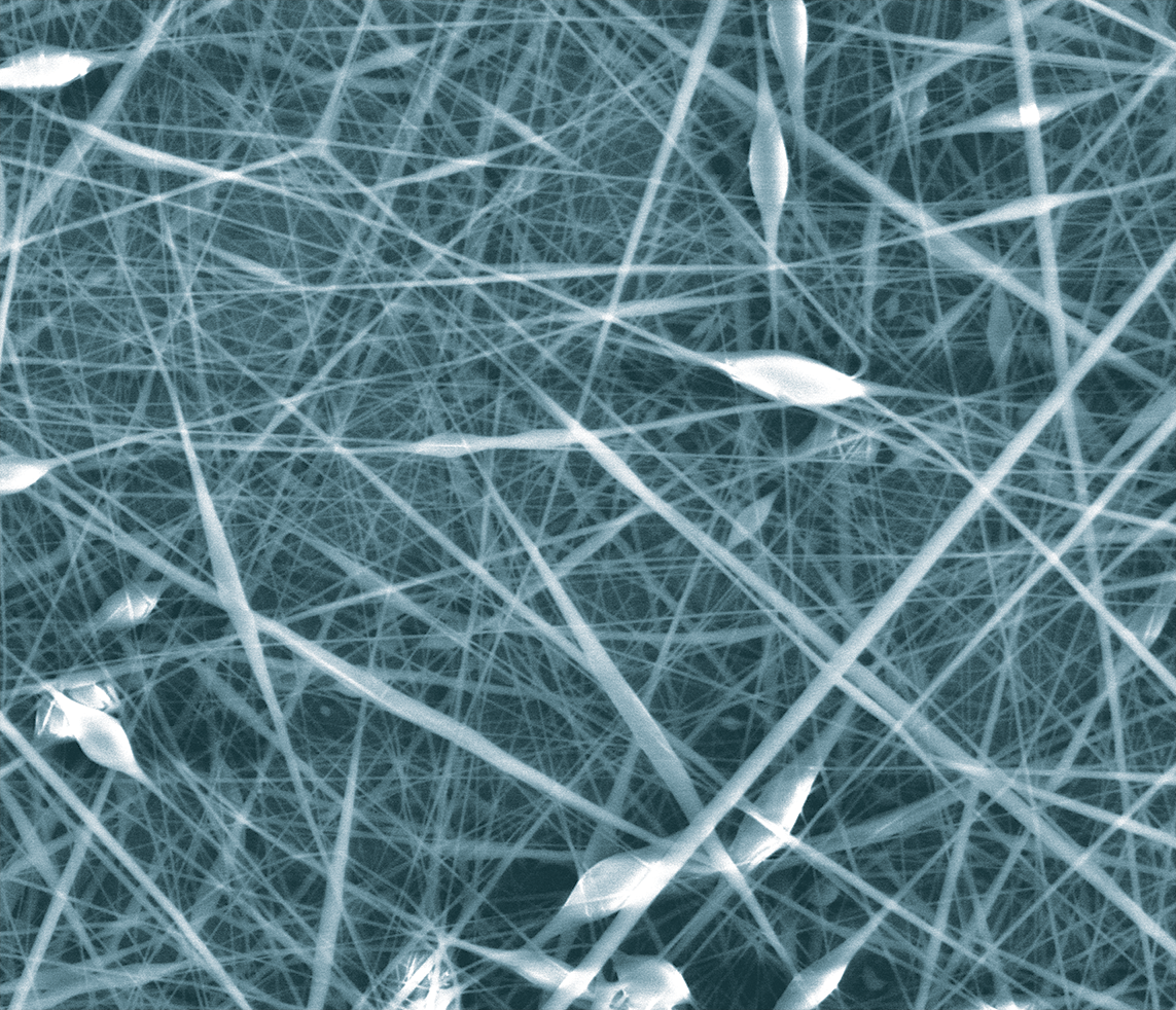 Microscopic photo of nanostructures in Neda Habibi's research